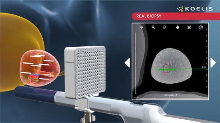 WhatsApp Image 2025-06-21 at 23.46.38_ead963ec